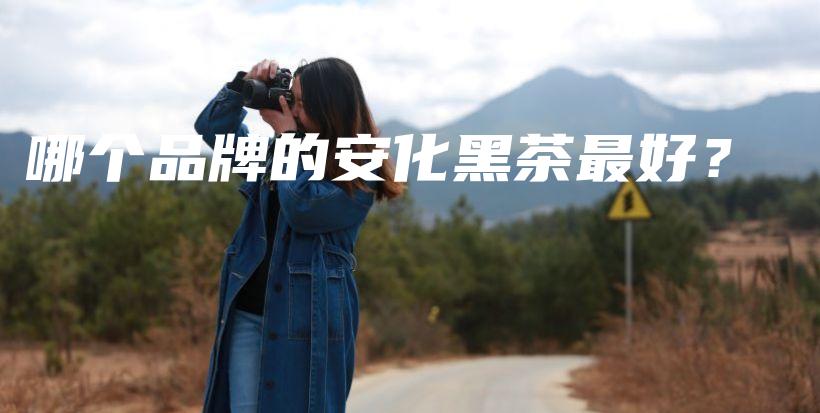 哪個品牌的安化黑茶最好？插圖