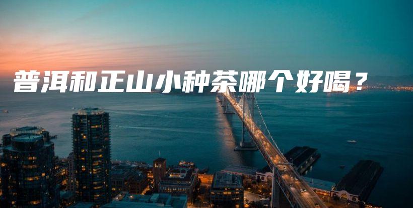普洱和正山小種茶哪個(gè)好喝？插圖