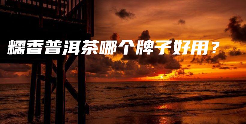 糯香普洱茶哪個牌子好用？插圖