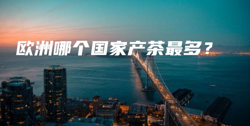 歐洲哪個(gè)國(guó)家產(chǎn)茶最多？插圖