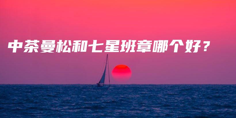 中茶曼松和七星班章哪個好？插圖