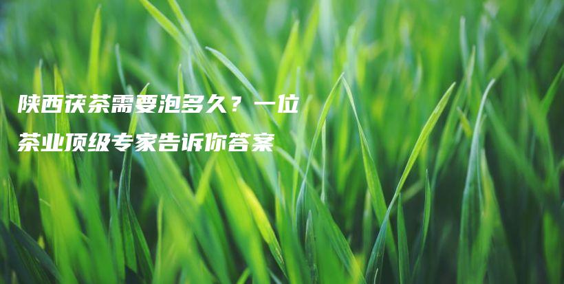 陜西茯茶需要泡多久？一位茶業(yè)頂級專家告訴你答案插圖