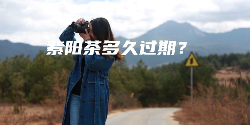 紫陽茶多久過期？插圖