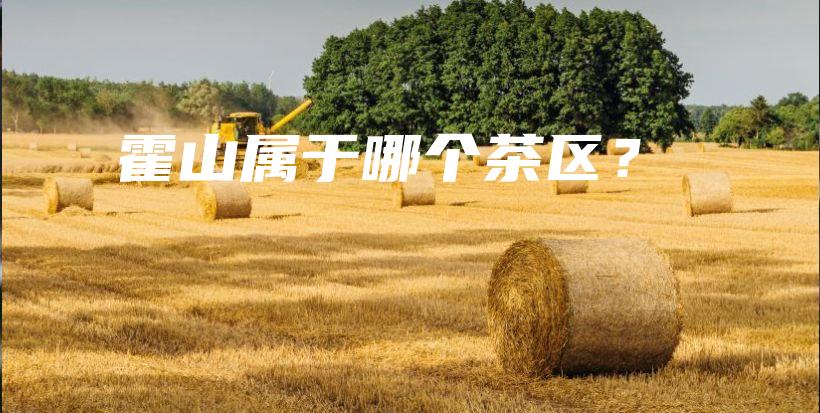 霍山屬于哪個(gè)茶區(qū)？插圖