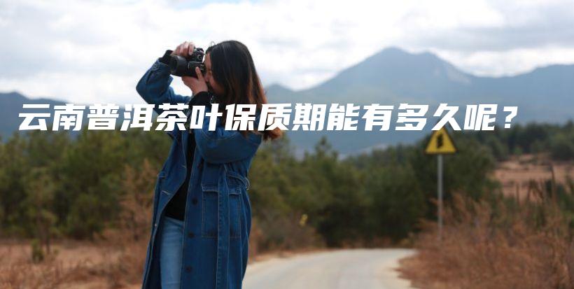 云南普洱茶葉保質(zhì)期能有多久呢？插圖