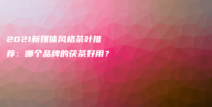 2021新媒體風格茶葉推薦：哪個品牌的茯茶好用？插圖