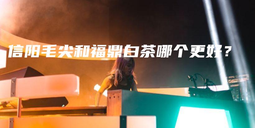 信陽毛尖和福鼎白茶哪個(gè)更好？插圖
