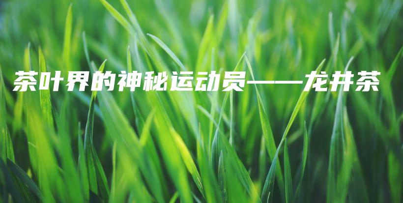 茶葉界的神秘運動員——龍井茶插圖
