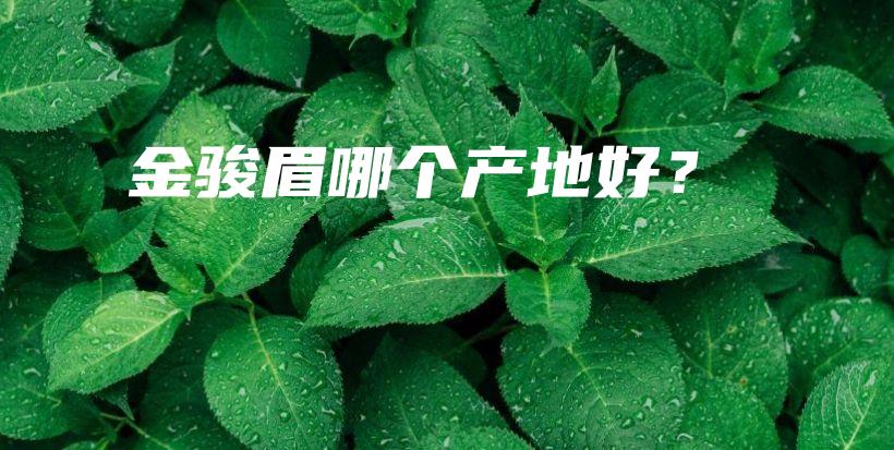 金駿眉哪個產地好？插圖