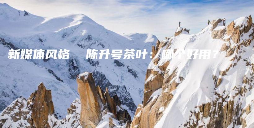 新媒體風(fēng)格  陳升號茶葉：哪個好用？插圖
