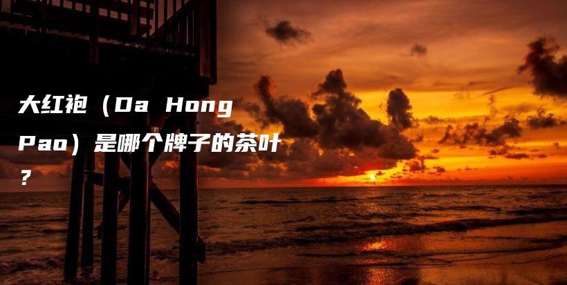 大紅袍（Da Hong Pao）是哪個(gè)牌子的茶葉？插圖