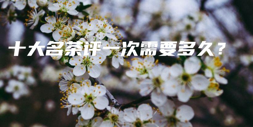 十大名茶評一次需要多久？插圖