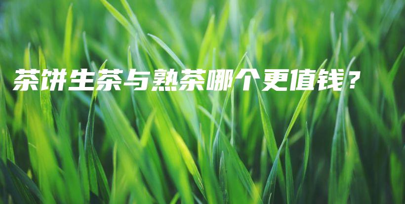 茶餅生茶與熟茶哪個更值錢？插圖