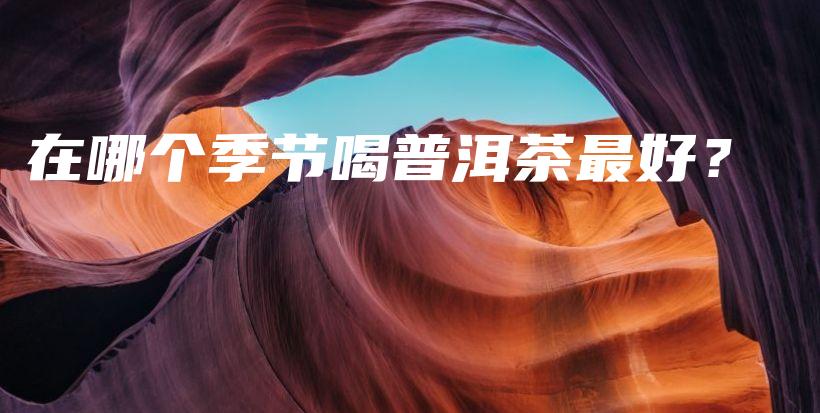 在哪個(gè)季節(jié)喝普洱茶最好？插圖