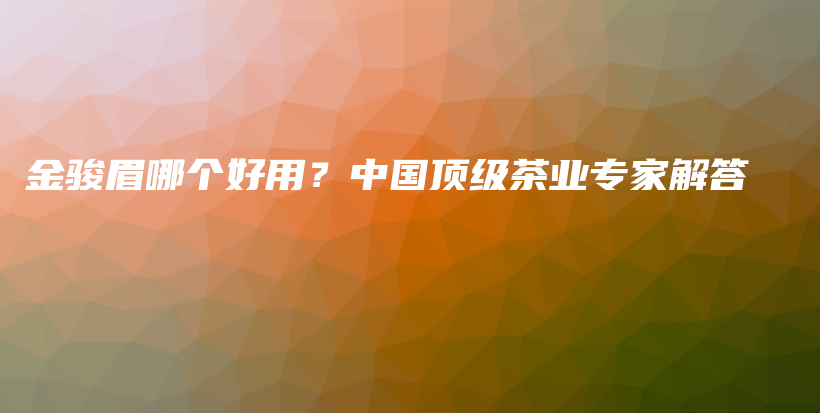 金駿眉哪個好用？中國頂級茶業(yè)專家解答插圖