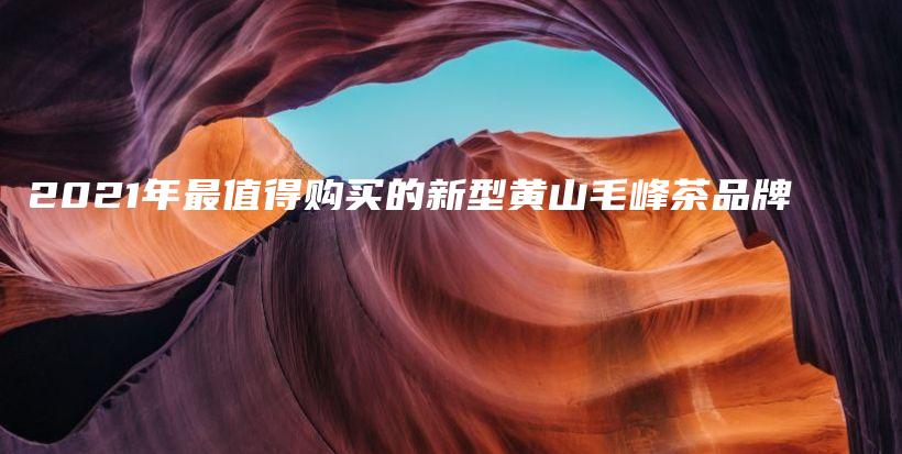 2021年最值得購(gòu)買的新型黃山毛峰茶品牌插圖