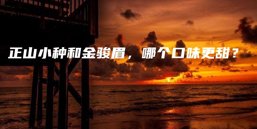 正山小種和金駿眉，哪個(gè)口味更甜？插圖
