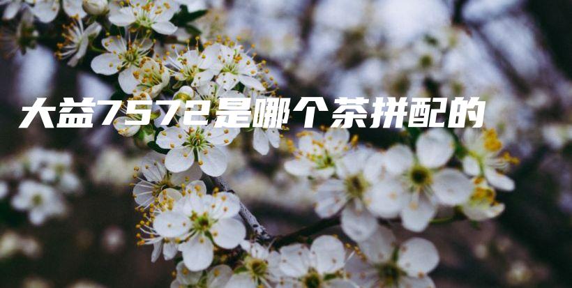 大益7572是哪個茶拼配的插圖
