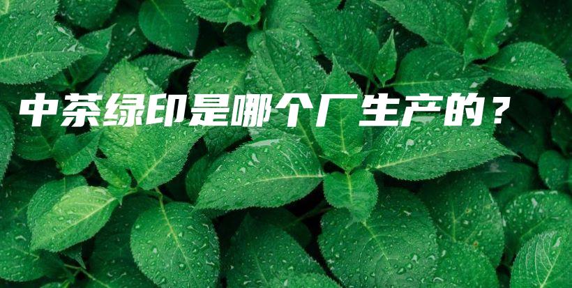 中茶綠印是哪個(gè)廠生產(chǎn)的？插圖
