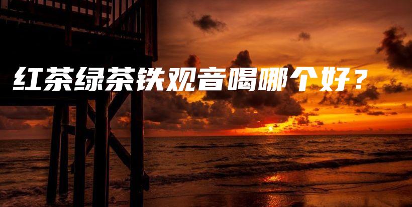 紅茶綠茶鐵觀音喝哪個(gè)好？插圖