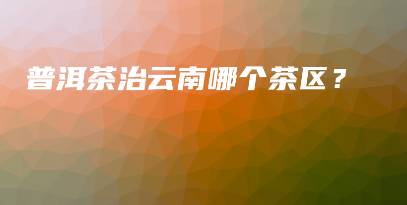 普洱茶治云南哪個茶區(qū)？插圖