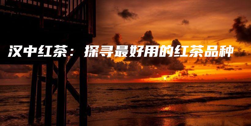 漢中紅茶：探尋最好用的紅茶品種插圖