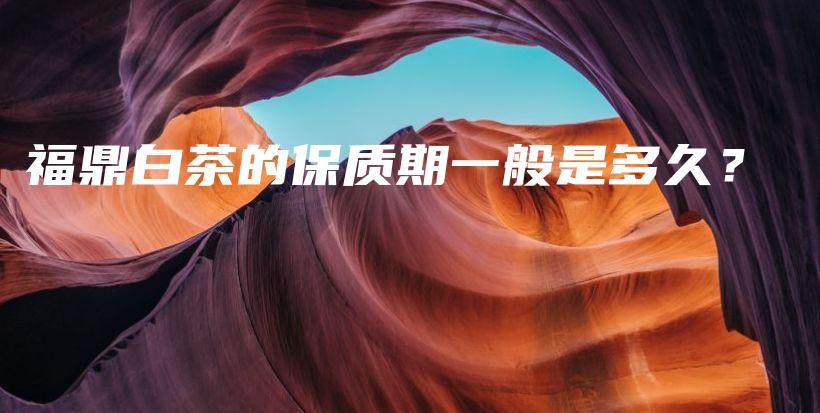福鼎白茶的保質(zhì)期一般是多久？插圖