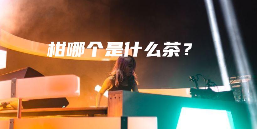 柑哪個是什么茶？插圖