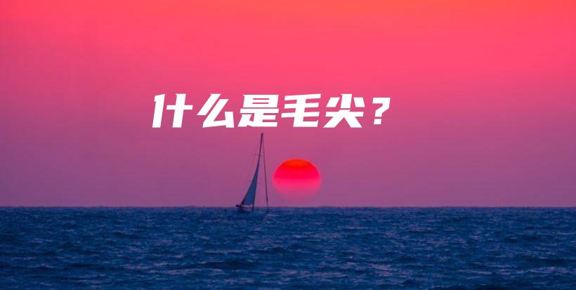 什么是毛尖？插圖