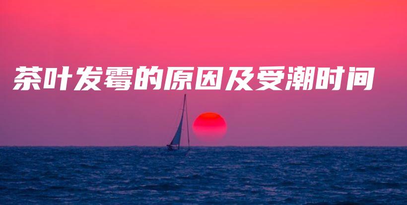 茶葉發(fā)霉的原因及受潮時(shí)間插圖