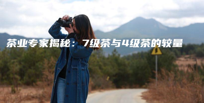 茶業(yè)專(zhuān)家揭秘：7級(jí)茶與4級(jí)茶的較量插圖