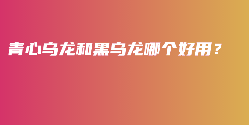 青心烏龍和黑烏龍哪個(gè)好用？插圖