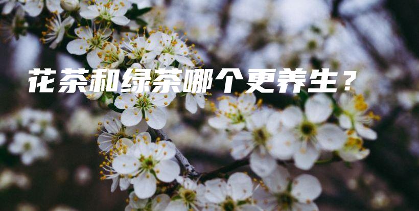 花茶和綠茶哪個(gè)更養(yǎng)生？插圖