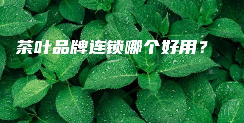 茶葉品牌連鎖哪個好用？插圖
