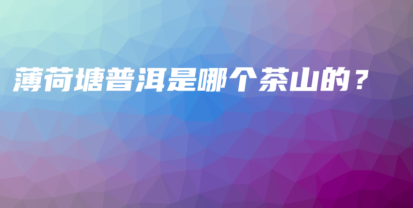 薄荷塘普洱是哪個茶山的？插圖