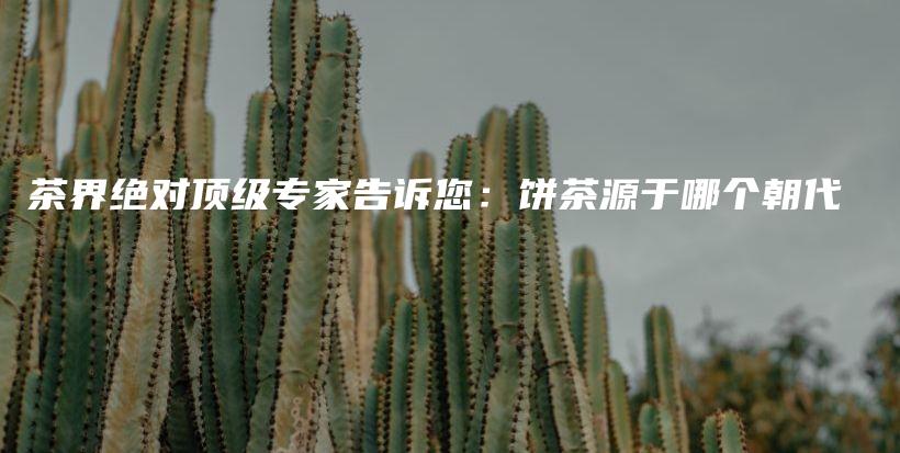茶界絕對(duì)頂級(jí)專家告訴您：餅茶源于哪個(gè)朝代插圖