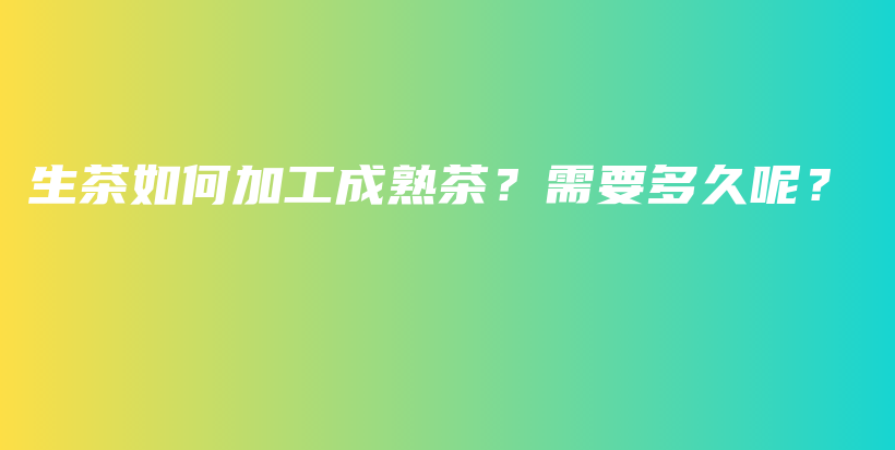 生茶如何加工成熟茶？需要多久呢？插圖