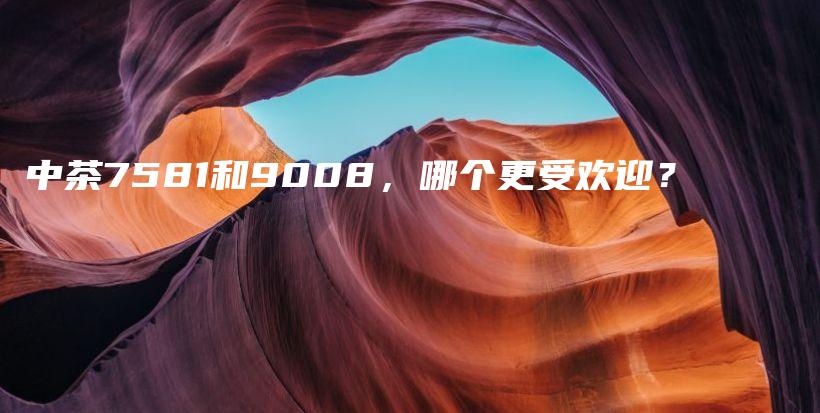 中茶7581和9008，哪個更受歡迎？插圖
