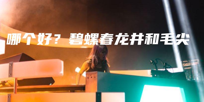 哪個好？碧螺春龍井和毛尖插圖