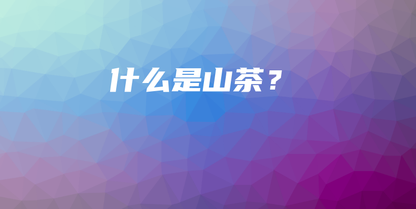 什么是山茶？插圖