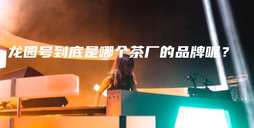 龍園號到底是哪個茶廠的品牌呢？插圖