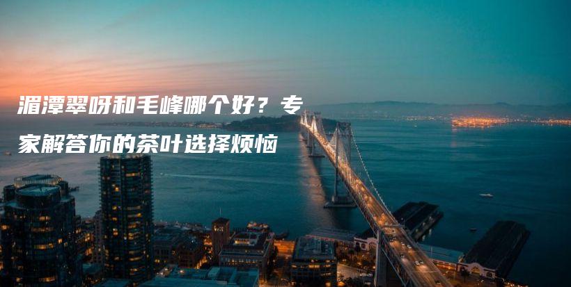 湄潭翠呀和毛峰哪個(gè)好？專家解答你的茶葉選擇煩惱插圖