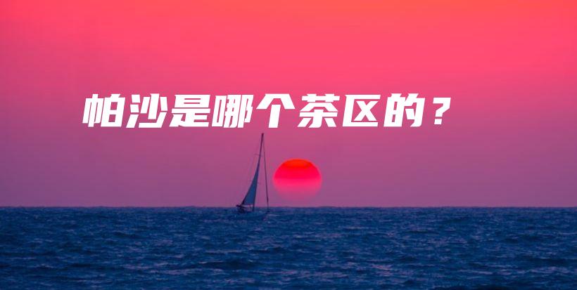 帕沙是哪個茶區(qū)的？插圖
