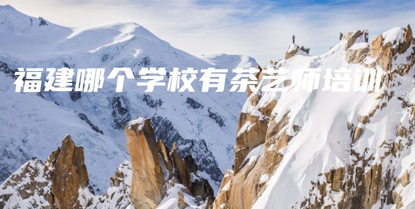 福建哪個學(xué)校有茶藝師培訓(xùn)插圖