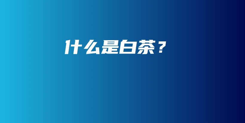 什么是白茶？插圖