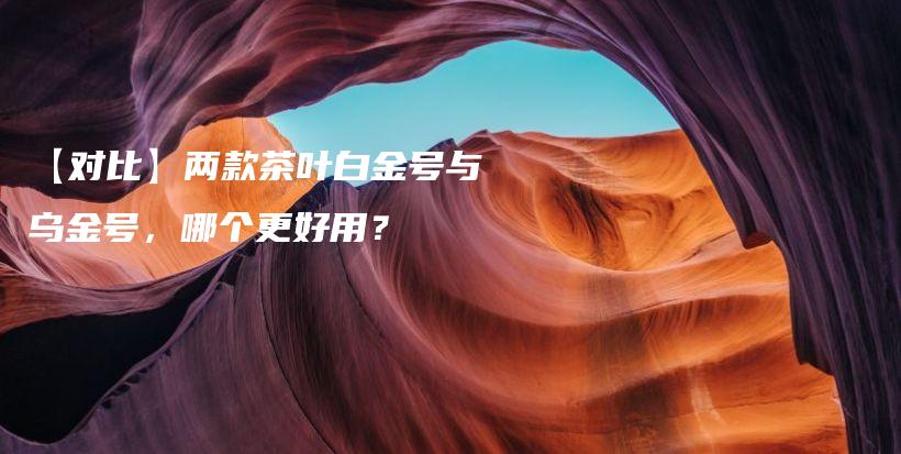 【對(duì)比】?jī)煽畈枞~白金號(hào)與烏金號(hào)，哪個(gè)更好用？插圖
