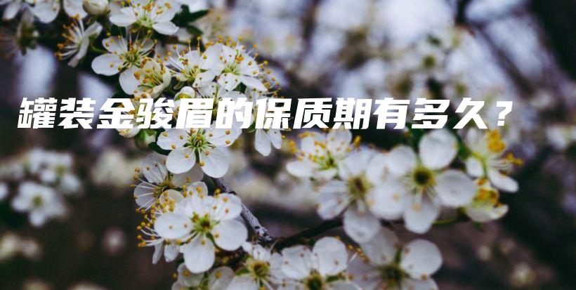 罐裝金駿眉的保質(zhì)期有多久？插圖