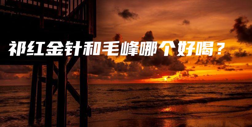 祁紅金針和毛峰哪個好喝？插圖