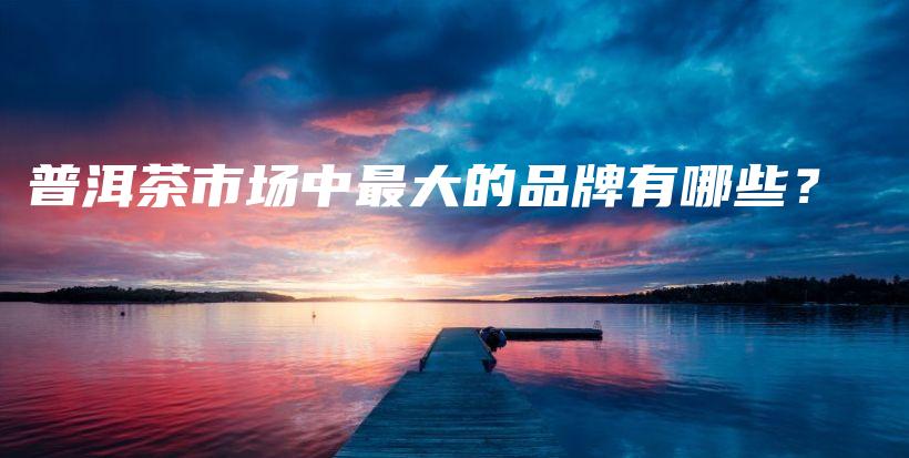 普洱茶市場(chǎng)中最大的品牌有哪些？插圖