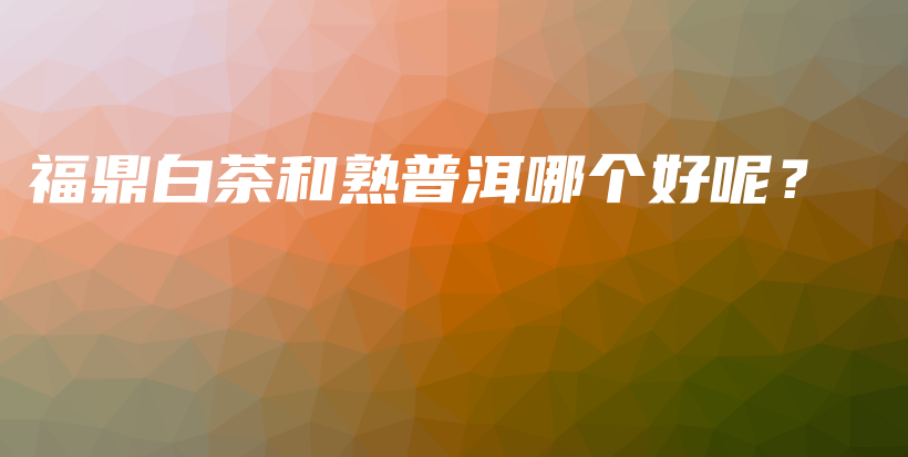 福鼎白茶和熟普洱哪個好呢？插圖
